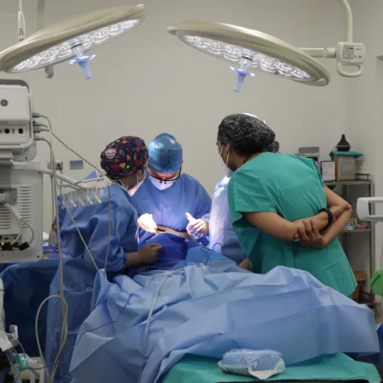 Surgical team performing an operation relevant to medical negligence claims
